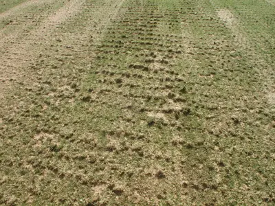 Bent Renovation